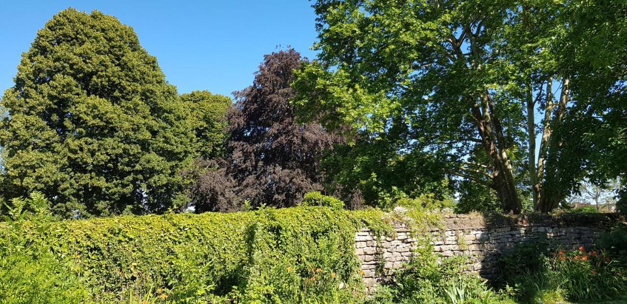 Le 49 Cote Parc & Spa Domblans Kültér fotó